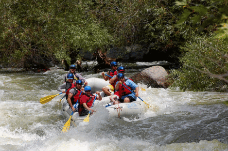 Nicholas Meyler whitewater rafting in rough waters